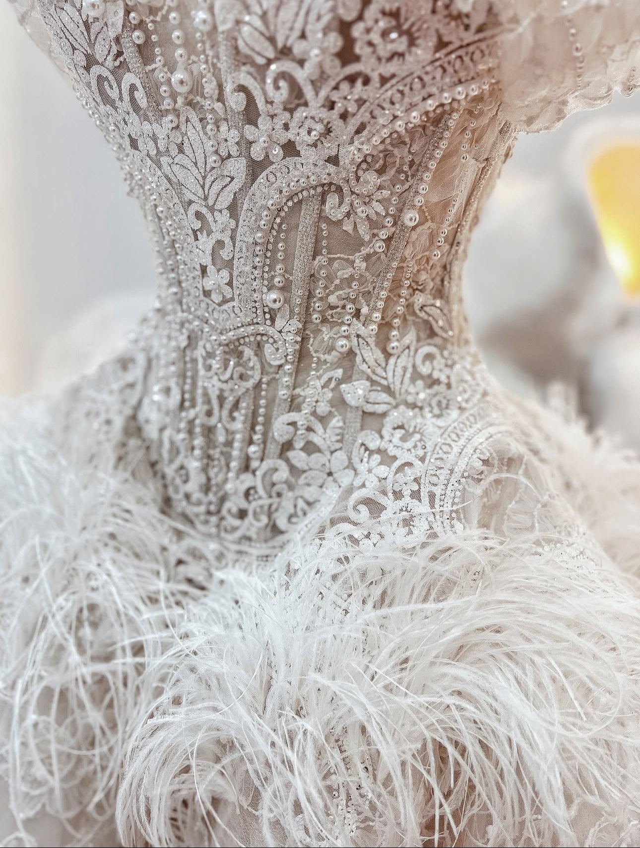 DANIA Feathered Lace Royal Ball Gown